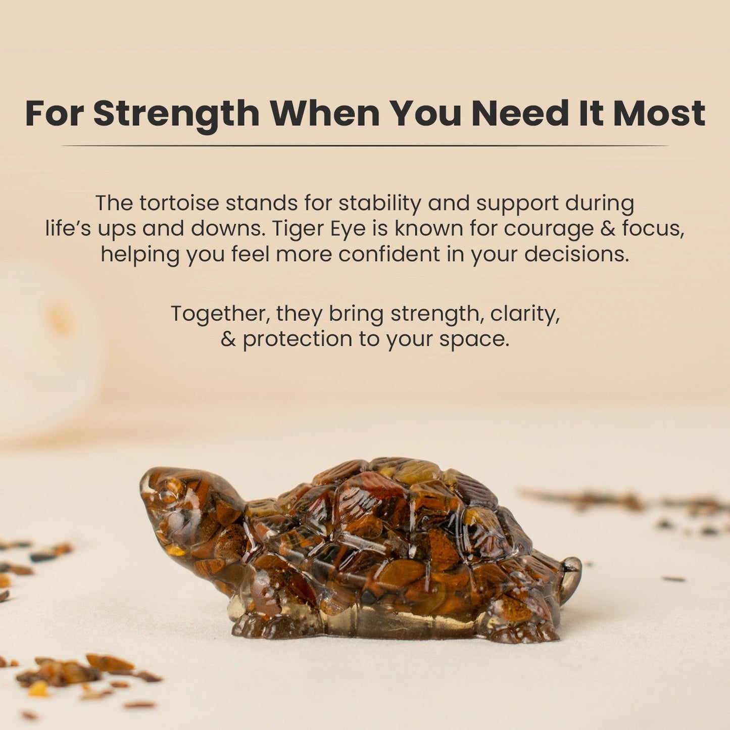 Vastu Tiger Eye Tortoise (Kachhua)
