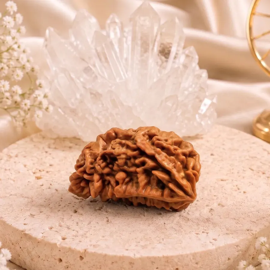 Astroliya's 1 Mukhi rudraksha bead on a round stone tray, with a clear quartz cluster behind it