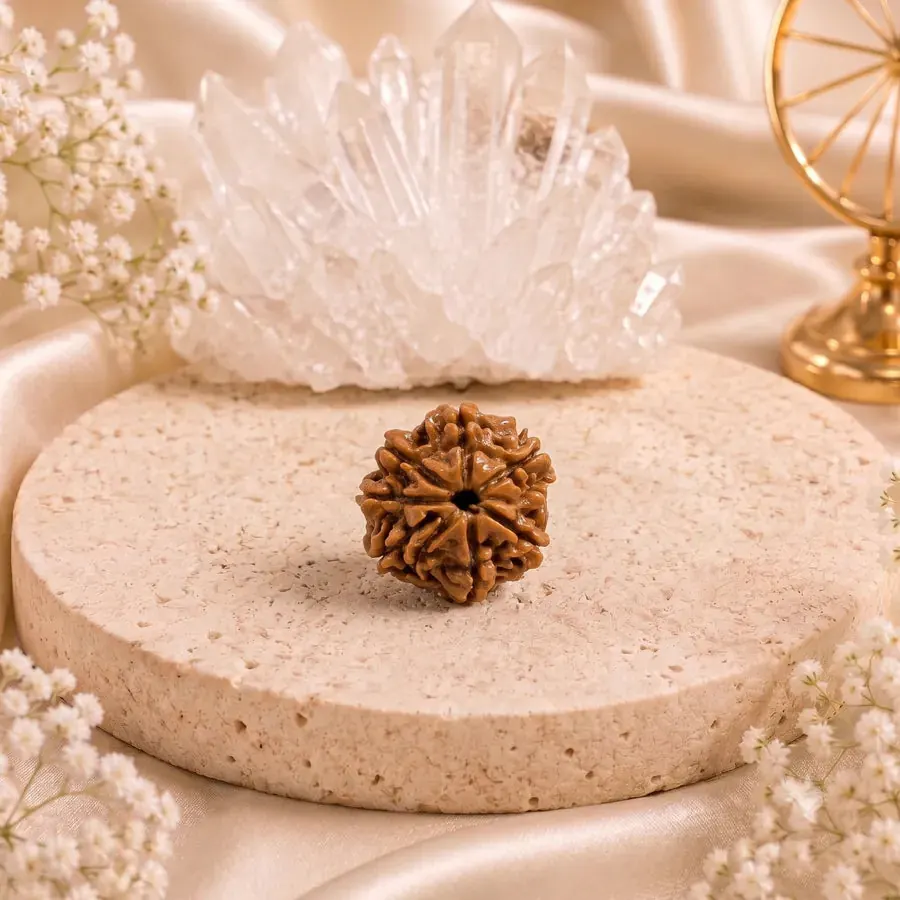 A brown 7 Mukhi rudraksha bead on a round stone stand, with a clear quartz cluster and white flowers behind