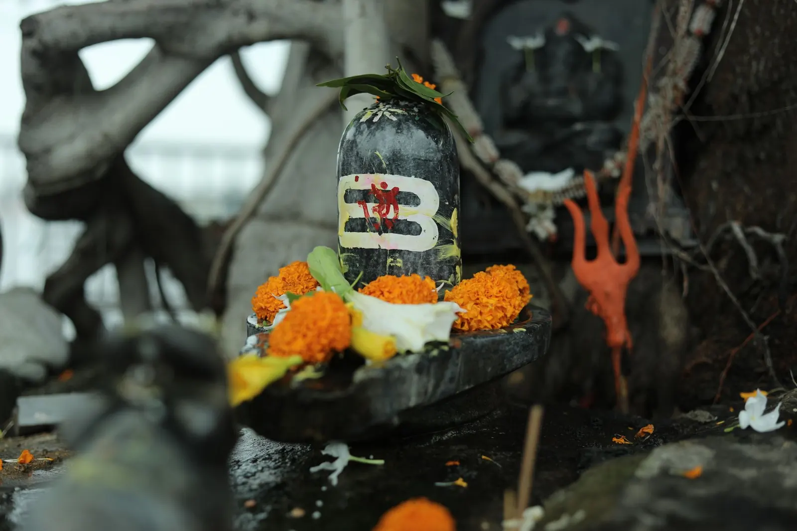 A stone Shiva linga with bel leaves and marigold offerings at a wet outdoor shrine, a trishul beside it