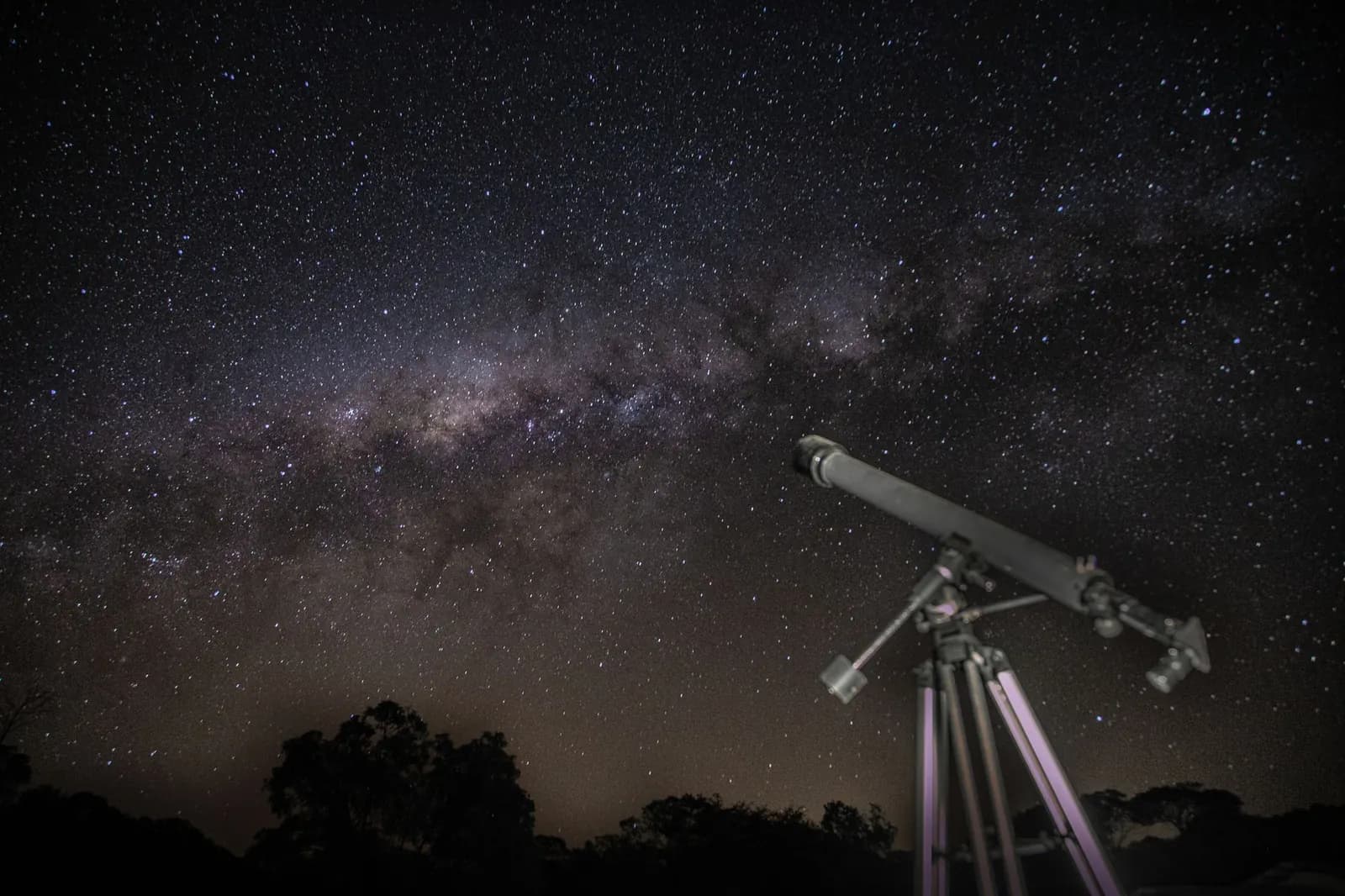 A telescope on a tripod under a starry night sky with the Milky Way above dark trees