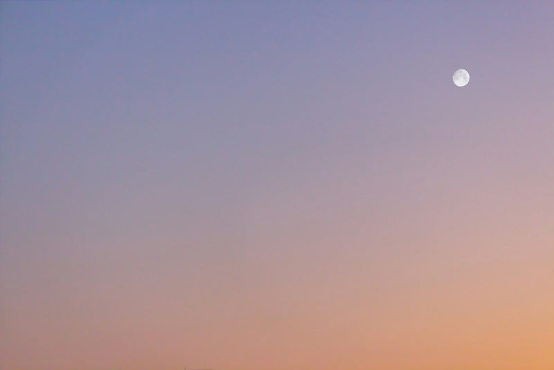 A crescent moon and the setting sun sharing the same twilight sky