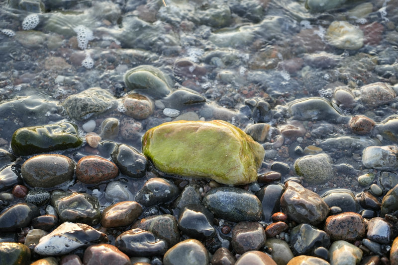Pale blue aquamarine and golden citrine crystals resting on wet grey stone