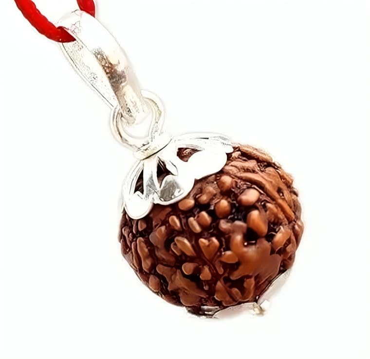 Natural 8 Mukhi Rudraksha Bead - Lab Certified
