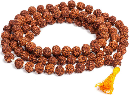 Astroliya Certified 5 Mukhi Rudraksha Mala (108 Beads)