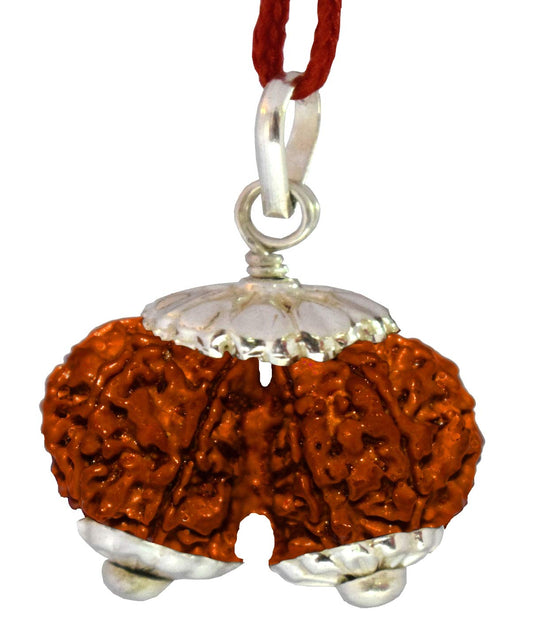 Gauri Shankar Rudraksha Bead - Authentic Sacred Seed