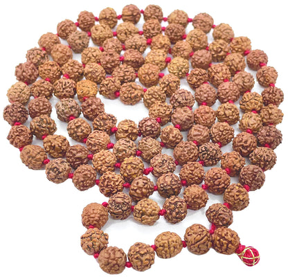 Certified 8mm Rudraksha Mala – 108+1 Hand-Knotted Prayer Beads