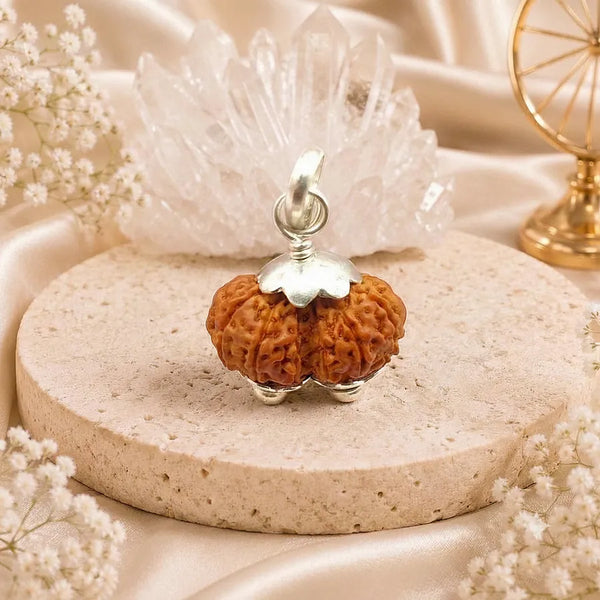 Gauri Shankar Rudraksha Bead - Authentic Sacred Seed