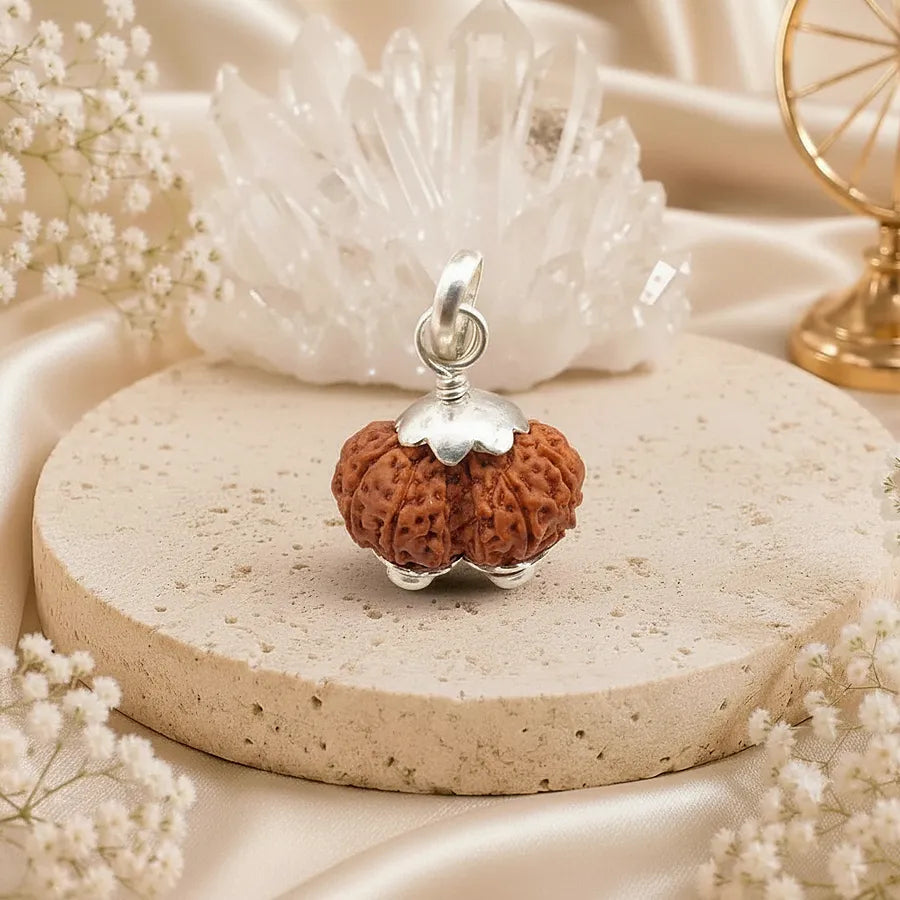 Natural Gauri Shankar Rudraksha Bead - Lab Certified