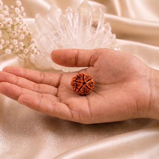Original 5 Mukhi Nepali Rudraksha Bead – Certified Authentic