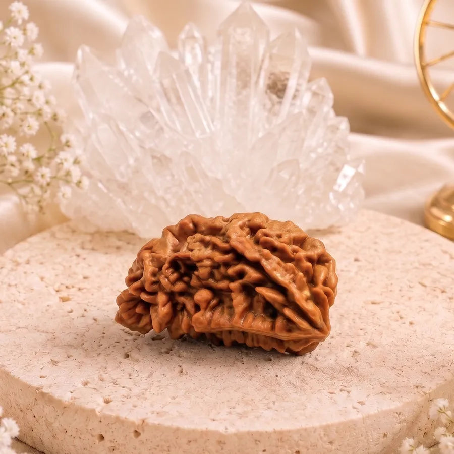 Certified 1 Mukhi Round Nepali Rudraksha Pendant | Astroliya