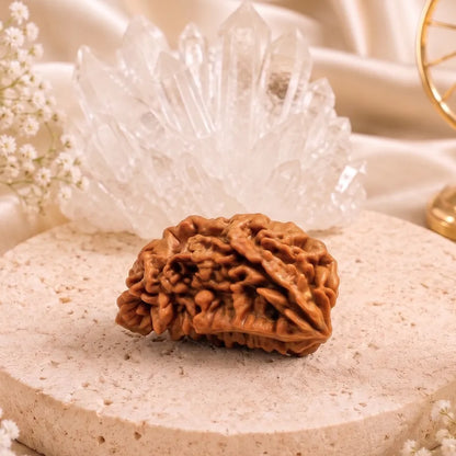 Certified 1 Mukhi Round Nepali Rudraksha Pendant | Astroliya