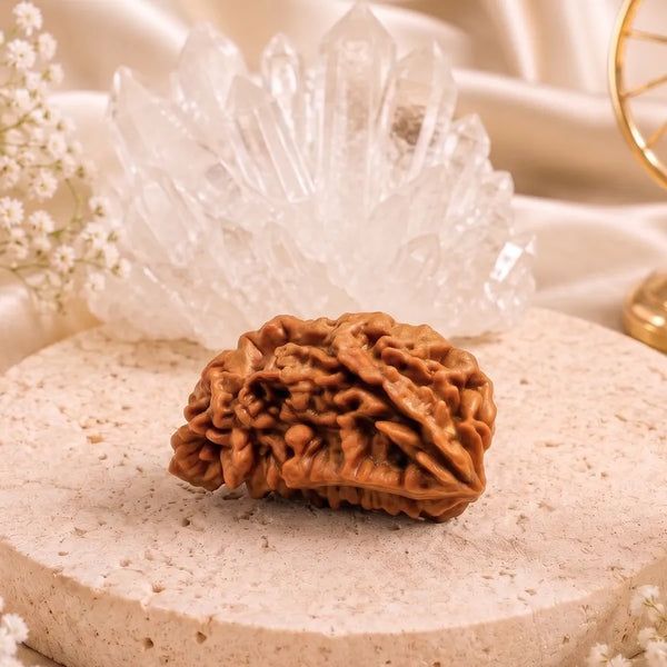 Certified 1 Mukhi Round Nepali Rudraksha Pendant | Astroliya